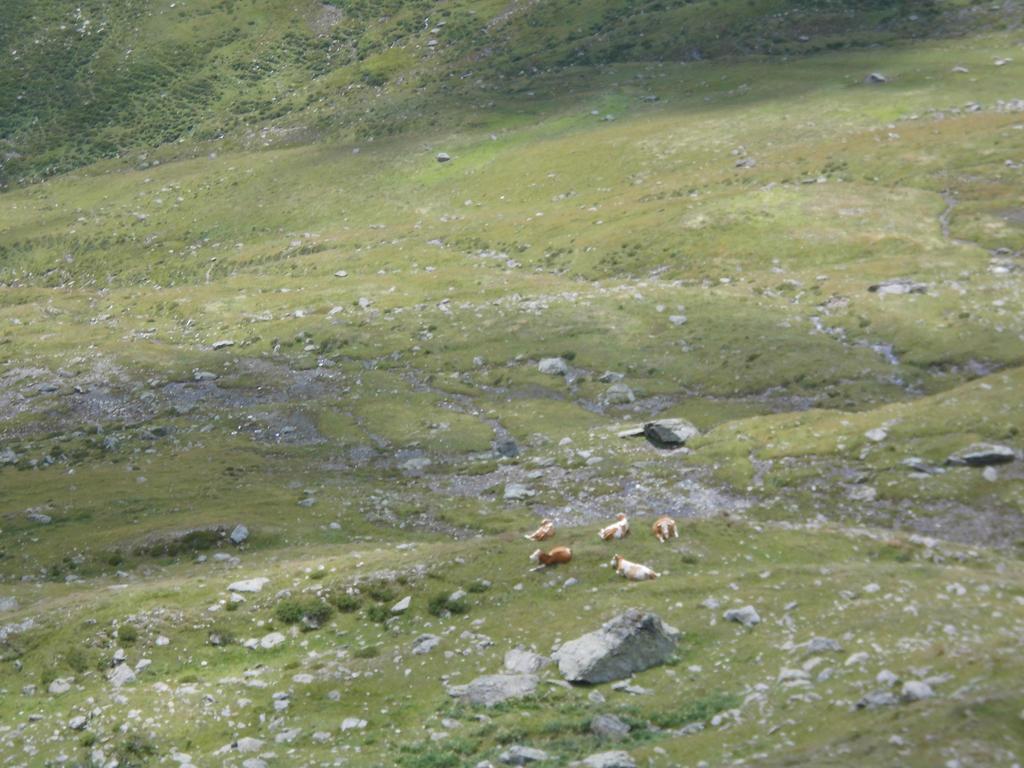 Obergarberhof Lejlighed Sillian Værelse billede