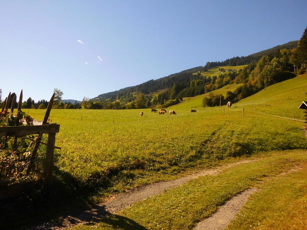 Obergarberhof Lejlighed Sillian Værelse billede